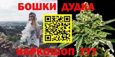 гидра Будённовск