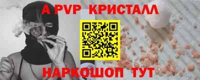 гидра Будённовск