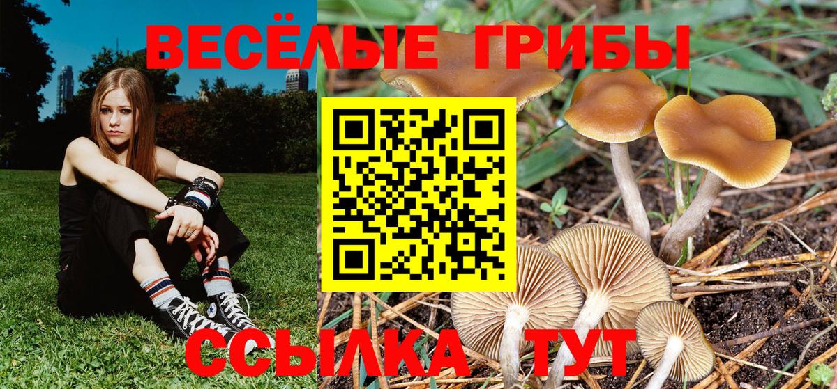Бирск  Псилоцибиновые грибы Psilocybe  купить наркоту  Вход с VPN 